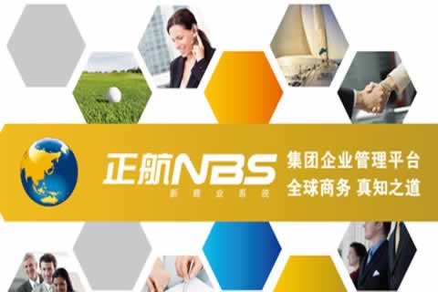 集團企業(yè)應用-NBS